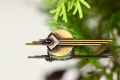 DSC_0515.png
